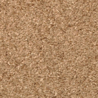 Masland Carpets Opalesque Congo Masland