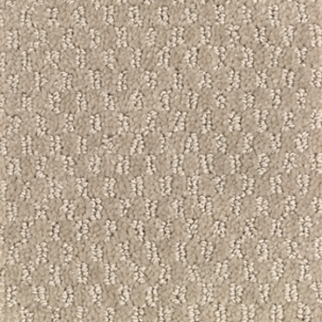 Mohawk Carpet Dynamo Mushroom Cap Mohawk