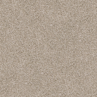 Dixie Home Labrador Pomeranian