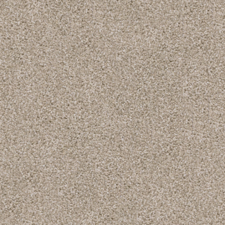 Dixie Home Shepherd Pomeranian