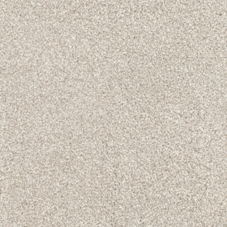 Dixie Home Great Dane Pomeranian