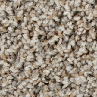 Mohawk Carpet Color Fusion II Dewkist Mohawk