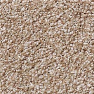 Shaw Floors What's Up Mole Hill SHAW