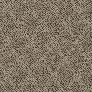 Dixie Home Fine Art Museum