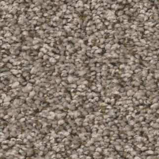 Shaw Floors Feelin' Alright Nature Trail SHAW