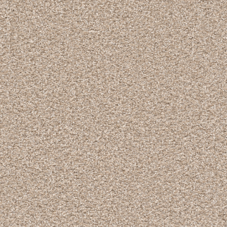 Dreamweaver Carpet Cape Cod Oxford DREAMWEAVER