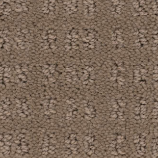 Shaw Floors Essential Now Raw Wood SHAW