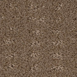 Shaw Floors Chic Nuance Raw Wood SHAW