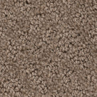 Shaw Floors Chic Shades Raw Wood SHAW