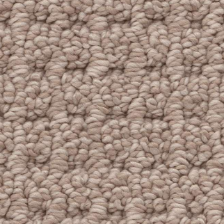 Shaw Floors Faint Intent Raw Wood SHAW