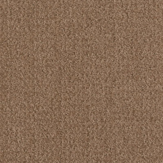 Shaw Floors Fine Tapestry Raw Wood SHAW