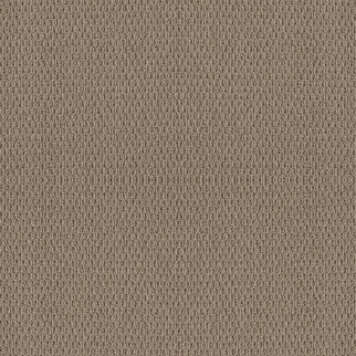 Shaw Floors Naturalistic Raw Wood SHAW