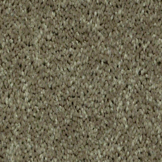 Shaw Floors Full Court 12 River Slate SHAW