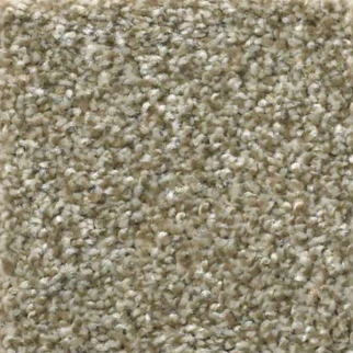 Shaw Floors Attainable Grecian Tan SHAW