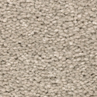 Mohawk Carpet Treasure Valley Traditional Tan Mohawk