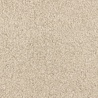 Dixie Home Summer Breeze Starfish