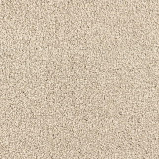 Dixie Home Spring Break Starfish