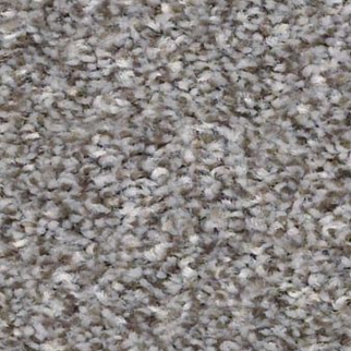 Shaw Floors Make It Mine I Cedar Ridge SHAW