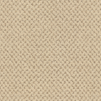 Masland Carpets La Parade Chardonnay Masland