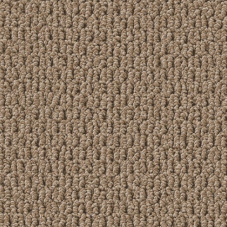 Shaw Floors Perspective Path Tavern Creek SHAW