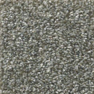 Shaw Floors Attainable Cedar Ridge SHAW