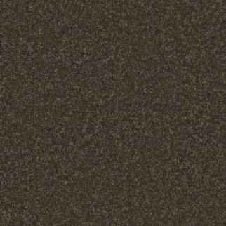 Shaw Floors Awaken Spirit II 12' Wood Grain SHAW