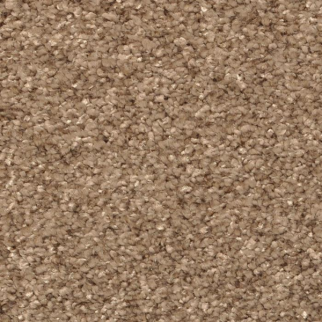 Masland Carpets Opalesque Otter Masland