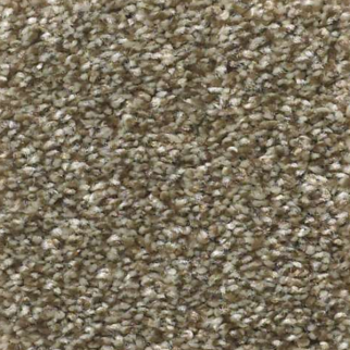 Shaw Floors Attainable Fox Hollow SHAW