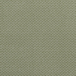 Masland Carpets Seurat Sage Masland