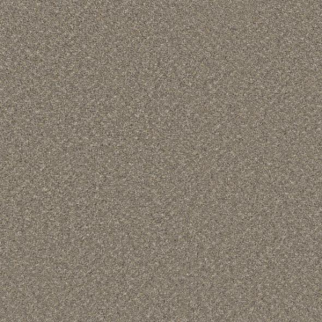 Phenix Carpets Magical Tempting PHENIX