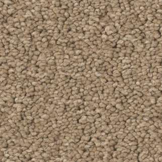 Tuftex Elegant Beauty Biscotti SHAW