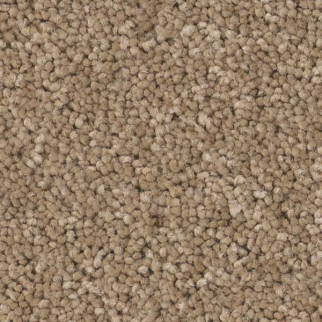 Tuftex Enduring Charm Biscotti SHAW