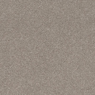 Shaw Floors Your Comfort II Back Patio SHAW