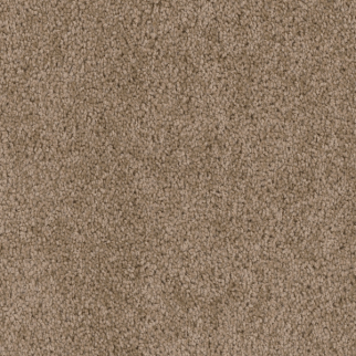 Dreamweaver Carpet Cedar Creek Dove DREAMWEAVER