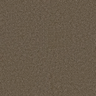 Dreamweaver Carpet Exceptional II Dove DREAMWEAVER