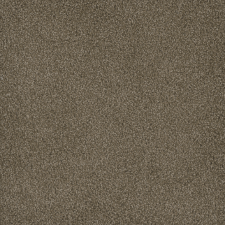 Dreamweaver Carpet Hammond Creek I Dove DREAMWEAVER