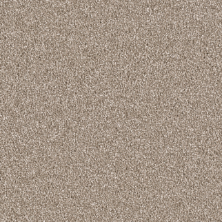 Dreamweaver Carpet East Hampton Quail DREAMWEAVER