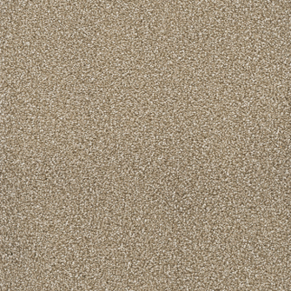 Dreamweaver Carpet Star Struck Quail DREAMWEAVER