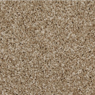 Mohawk Carpet Up The Ante Sandy Cove Mohawk