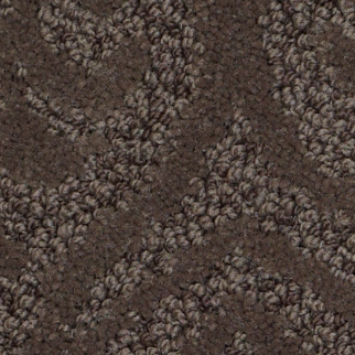 Tuftex Modern Amenities Spring-Wood SHAW