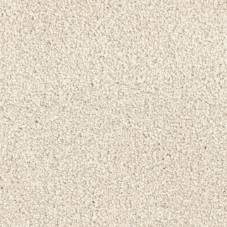 Dixie Home Spring Break Dune