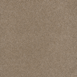 Dreamweaver Carpet Stunning Ginger DREAMWEAVER