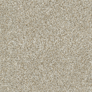 Dixie Home Tactics Sandstone