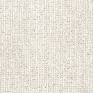 Dixie Home Bengal Sphynx