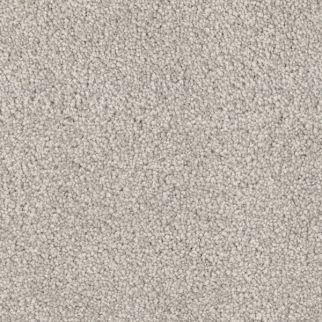 Dixie Home Spring Break Pelican