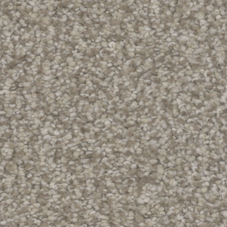 Tarkett Home Carpets Intrigue Delight LEXMARK