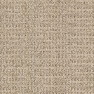 Masland Carpets Winslow Prescott Masland