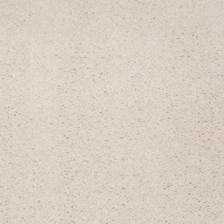 Aladdin Carpet Accelerator Plus Whitewash MISSING