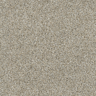 Dixie Home Game Plan Opal