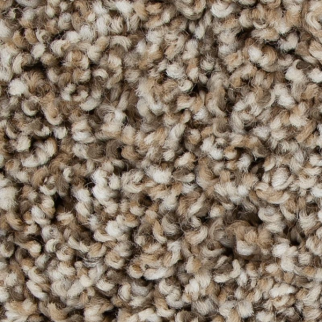 Mohawk Carpet Color Fusion I Rum Cream Mohawk